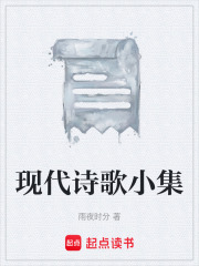 现代诗歌小集在线阅读