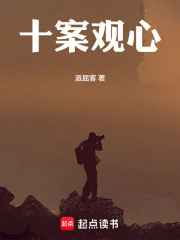 十案观心在线阅读