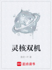 灵核双机在线阅读
