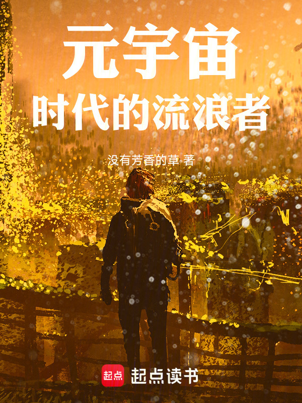 元宇宙时代的流浪者在线阅读
