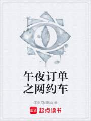午夜订单之网约车在线阅读