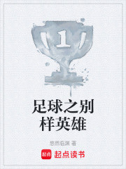 足球之别样英雄在线阅读