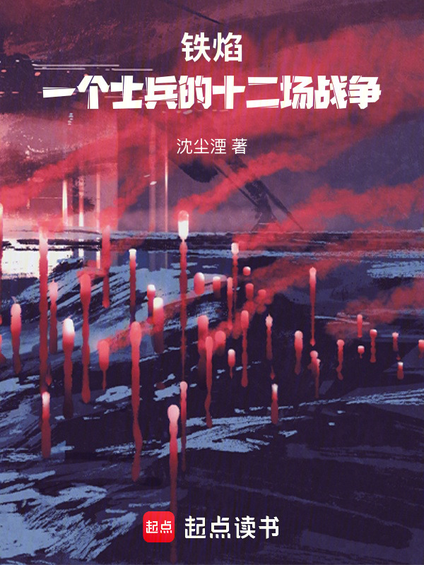 铁焰：一个士兵的十二场战争在线阅读