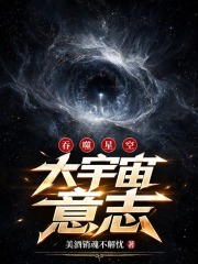 吞噬星空：大宇宙意志！在线阅读