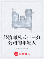 经济师风云：三分公司的年轻人在线阅读
