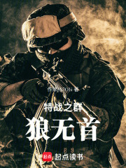 特战之群狼无首在线阅读