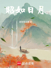 昭如日月在线阅读