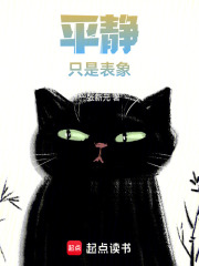 平静只是表象在线阅读