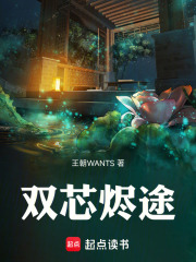 双芯烬途在线阅读