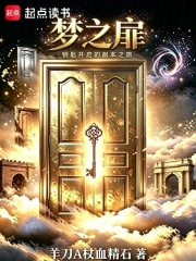 梦之扉：钥匙开启的副本之旅在线阅读