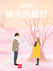 你是我偷来的最好在线阅读