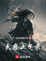 大雍止戈录封面
