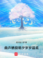 曲声栖窗朝夕岁岁温柔最新章节在线阅读