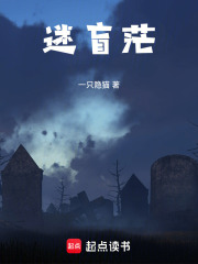 迷盲茫在线阅读