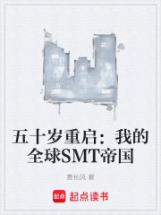 五十岁重启：我的全球SMT帝国在线阅读