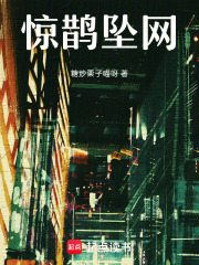 惊鹊坠网在线阅读