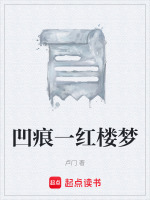 凹痕一红楼梦最新章节在线阅读