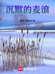 沉默的麦浪在线阅读