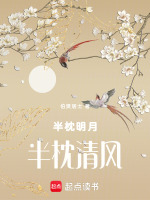 半枕明月半枕清风最新章节在线阅读