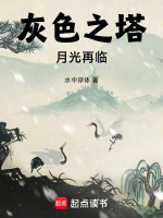 灰色之塔月光再临封面