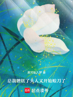总裁糟糕了夫人又开始赊刀了最新章节在线阅读