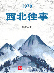 1979西北往事在线阅读