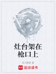 灶台架在枪口上在线阅读