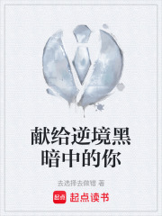 献给逆境黑暗中的你在线阅读