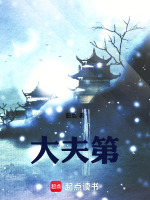 大夫第最新章节在线阅读