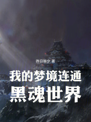 我的梦境连通黑魂世界在线阅读