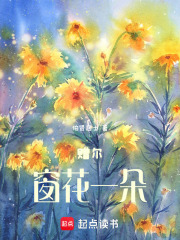赠尔窗花一朵在线阅读