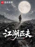 江湖匹夫封面