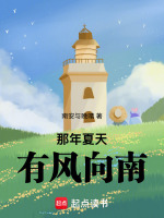 那年夏天有风向南封面