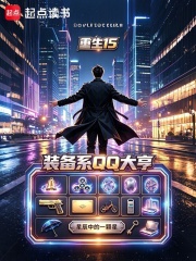 重生15，装备系QQ大亨在线阅读