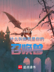 什么叫做我是你的召唤兽？在线阅读