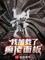 我加载了癫佬面板在线阅读