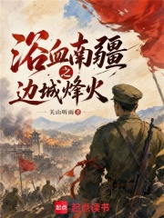 浴血南疆之边城烽火在线阅读