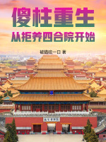 四合院，重生以后的烟火人间封面