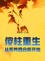 傻柱重生，从拒养四合院开始在线阅读