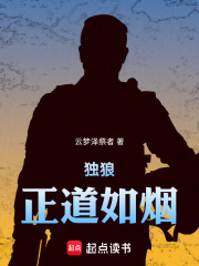 独狼：正道如烟在线阅读
