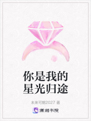 你是我的星光归途在线阅读