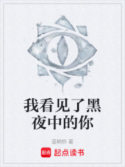 我看见了黑夜中的你在线阅读