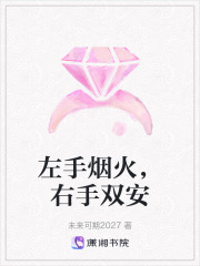 左手烟火，右手双安在线阅读