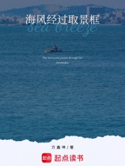 海风经过取景框在线阅读