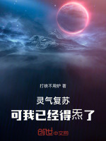 灵气复苏：可我已经得炁了封面