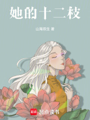 她的十二枝在线阅读