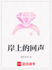 岸上的回声在线阅读