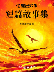 亿碗蛋炒饭短篇故事集