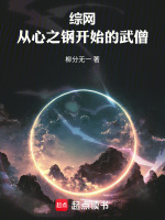 综网：从心之钢开始的武僧封面