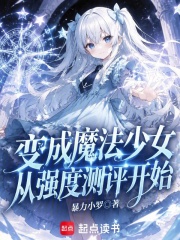 变成魔法少女从强度测评开始 封面